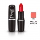 Quiz Color Focus moisturizing lipstick Увлажняющая помада, 4,2гр.